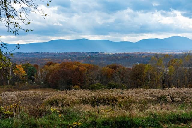 Harrier Hill Park - Image 2
