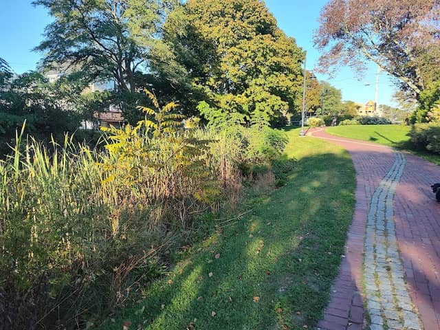 Pleasant Street Park - Image 2