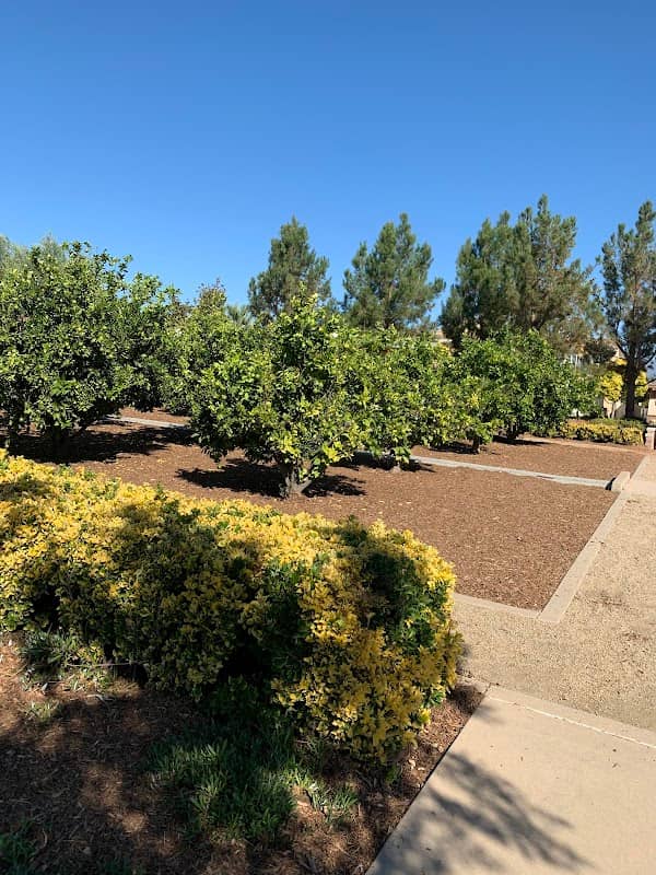 Harvest Park - Image 2