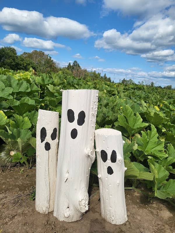 Maloney Meadows Family Farm - Image 2