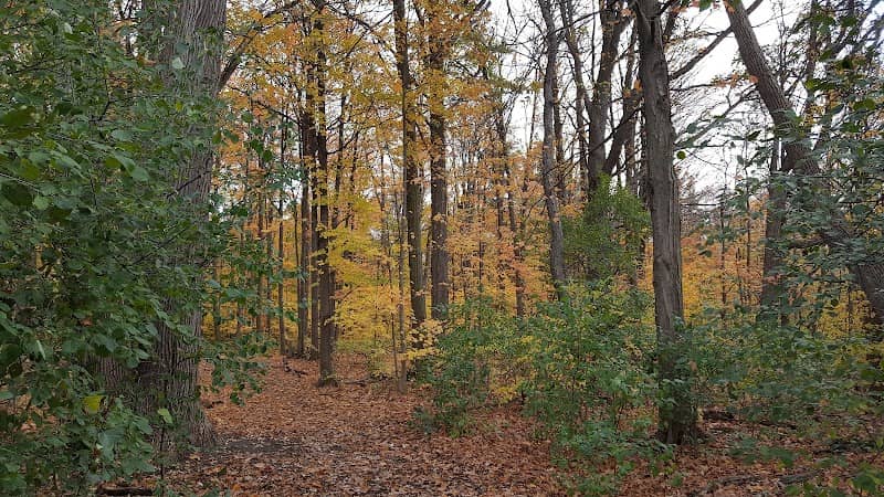 Village Green Park - Image 1