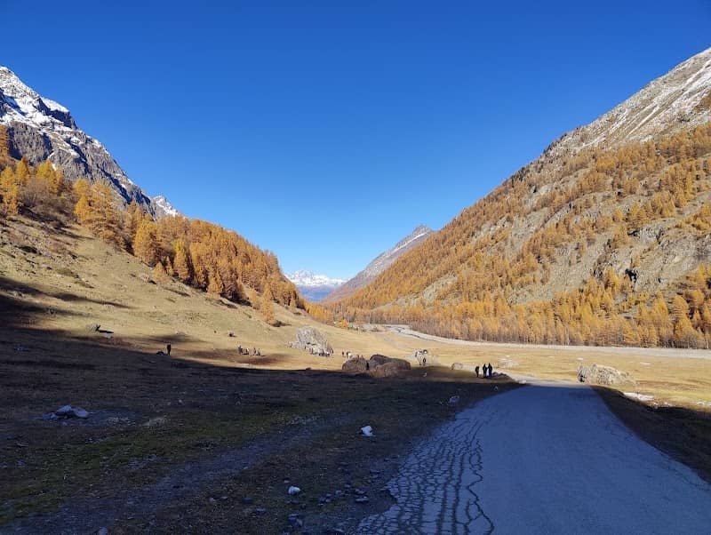 Val D'aosta Rhêmes-Notre-Dame - Image 2