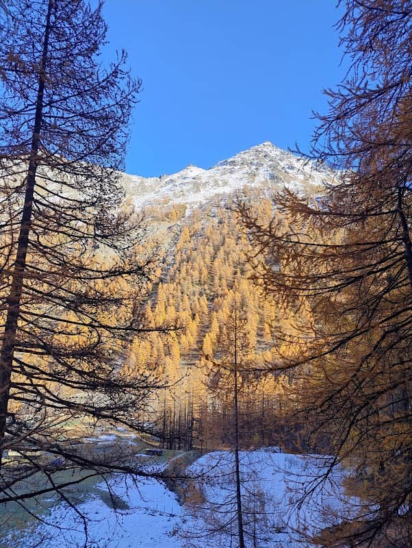 Val D'aosta Rhêmes-Notre-Dame - Image 3