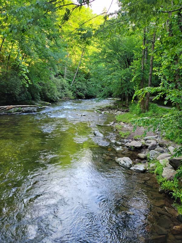 Time Flies on the River - Image 2