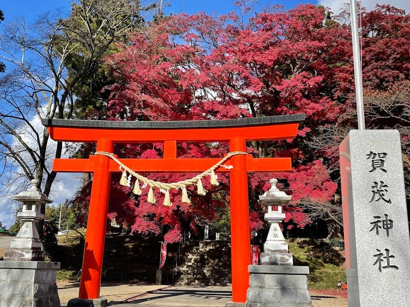 Iroha-Momiji - Image 3