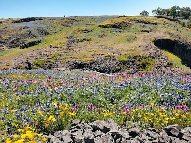 North Table Mountain Ecological Reserve - Image 3
