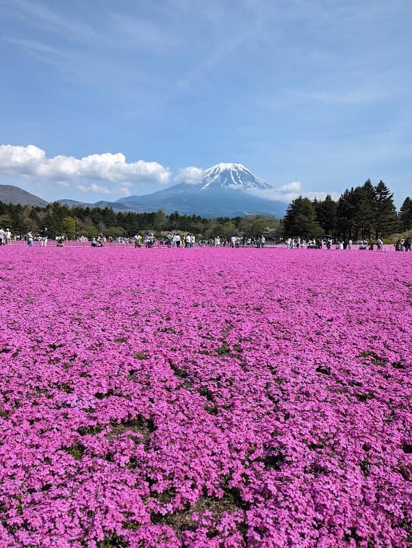 Fuji Motosuko Resort - Image 1