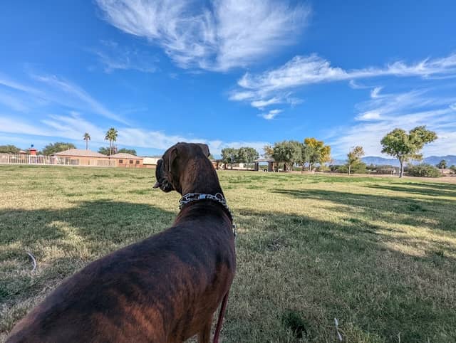 Windmill Park - Image 1