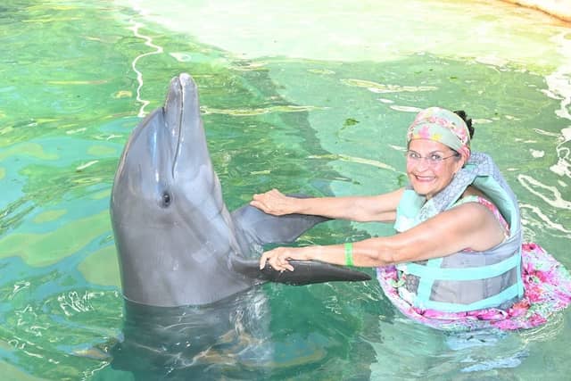 Dolphin World - Image 1