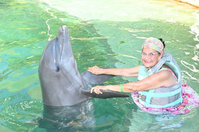 Dolphin World - Image 1
