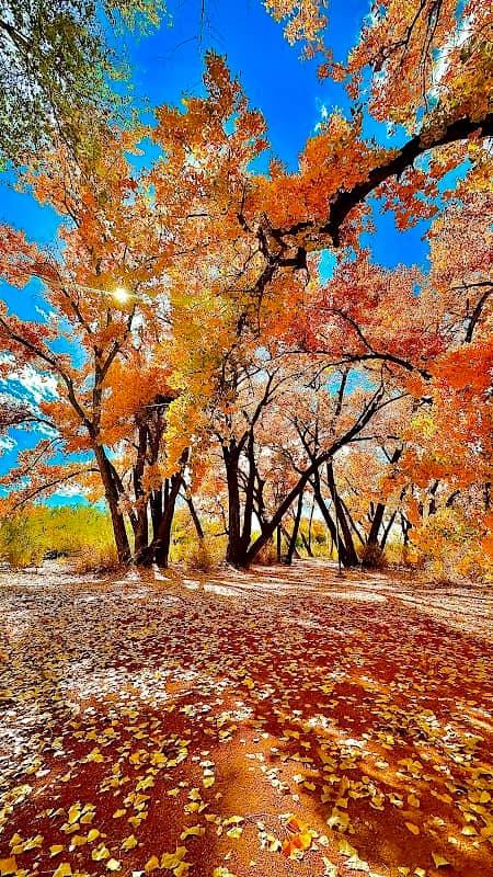 Boyd Park - Image 2
