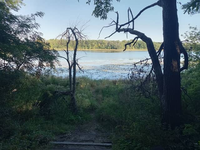 Milton Segment Ice Age Trail - Image 3