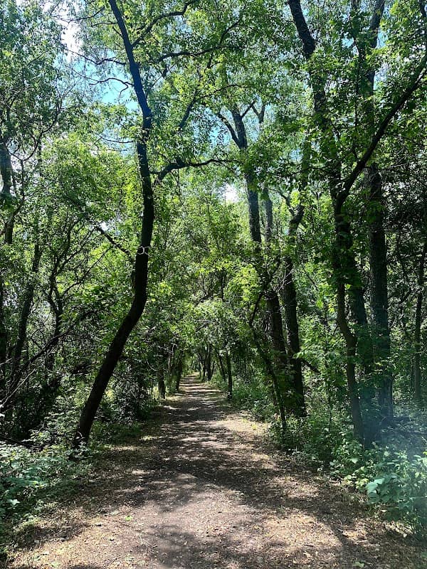 Milton Segment Ice Age Trail - Image 1