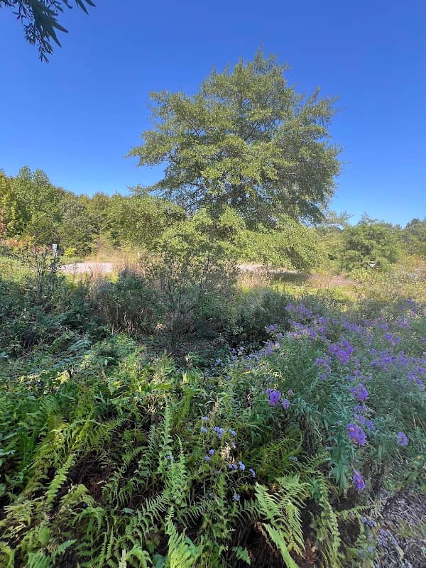 Adkins Arboretum Visitor Center - Image 2