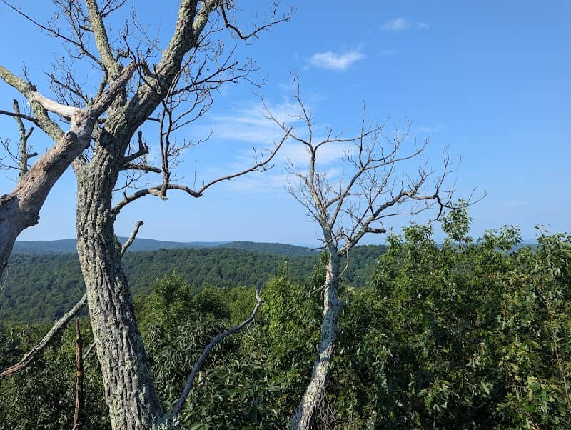 Buzzard Hill Trailhead - Image 2