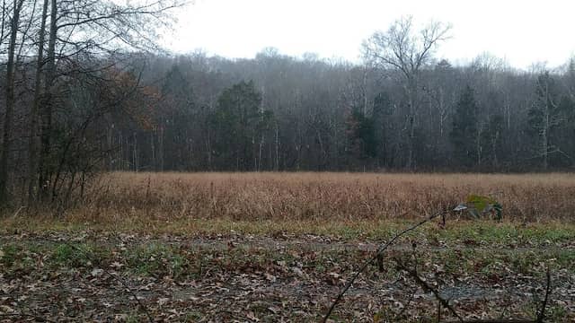 Beaver Pond Creek Wildlife Management Area - Image 2