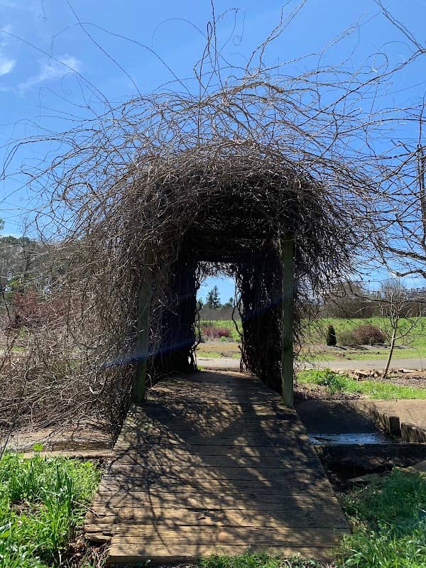 SFA Mast Arboretum - Image 2