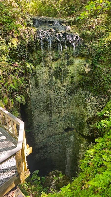 Falling Waters State Park - Image 1