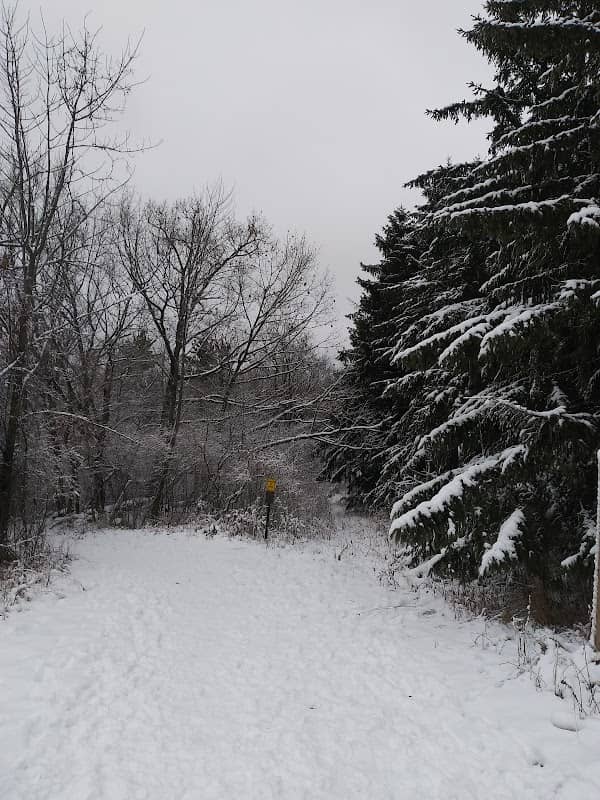 St. Augustine/Loew Lake Trailhead - Image 1