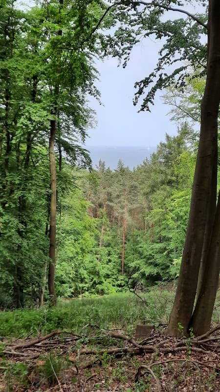 Bismarckwarte auf dem Präsidentenberg - Image 2