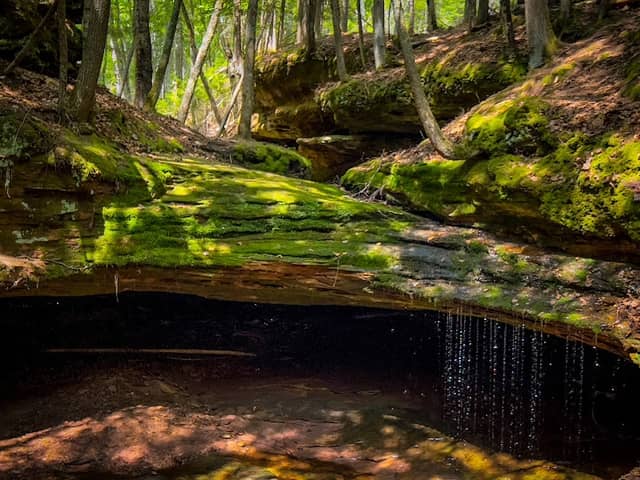 Echo Dells - Image 3