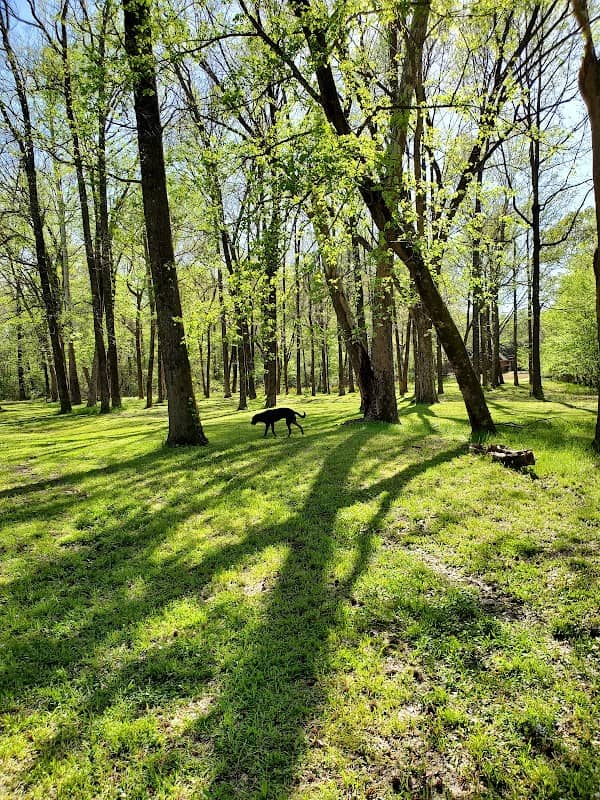 Swinnea Park - Image 3
