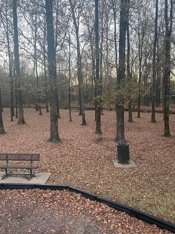 Swinnea Park - Image 2