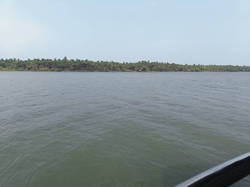 Island River cruise - Image 3