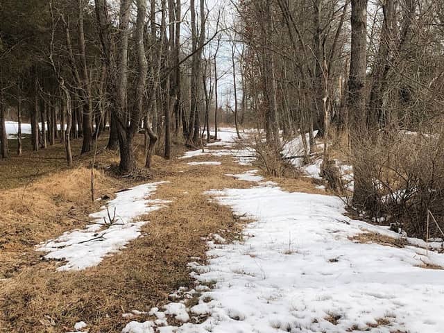 Higginsville Trail (Woodfern Section) Access - Image 2