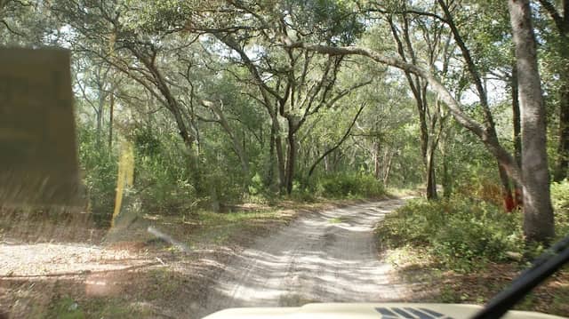 Paisley Woods Trail - Image 1
