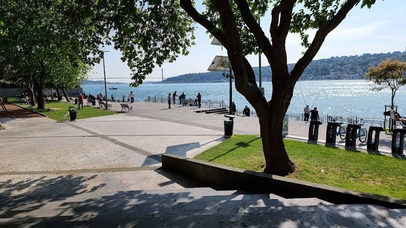 Vanikoy Park - Image 2
