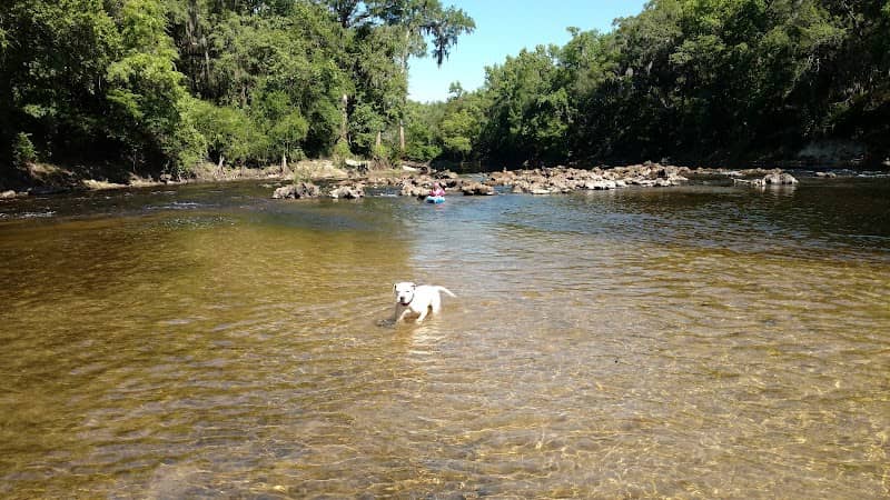 Twin Rivers Wma - Image 1