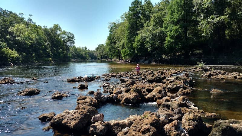Twin Rivers Wma - Image 2