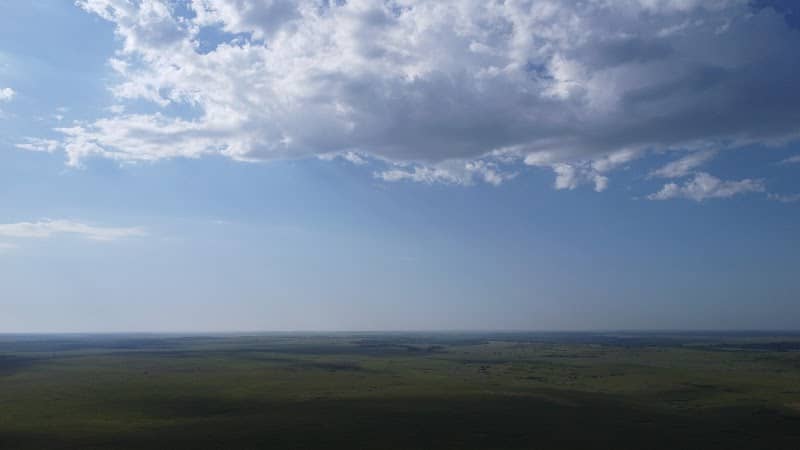 Bison loop start - Image 1