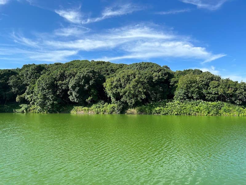 Goryoyama Park - Image 3