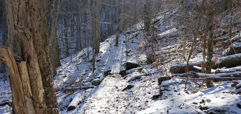 Pinnacle Ridge Tunnel - Image 2