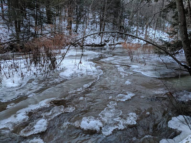Messimer Preserve - Image 1