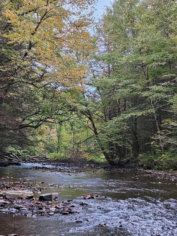 Messimer Preserve - Image 2