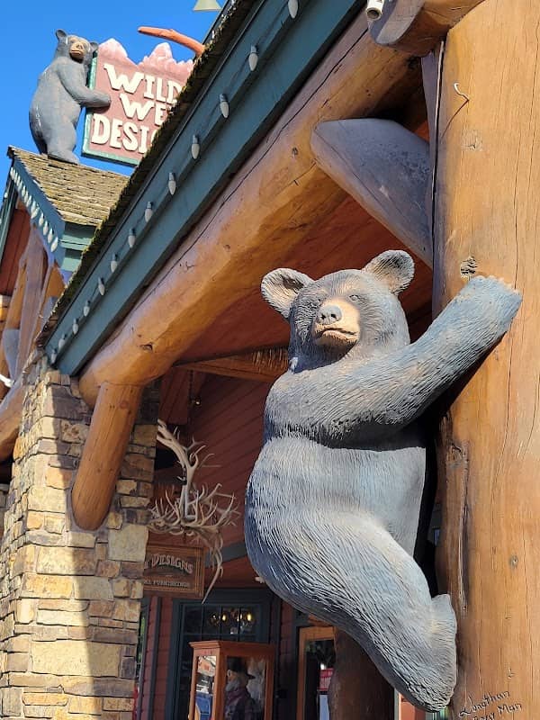 Bear Cub climbing a post - Image 2