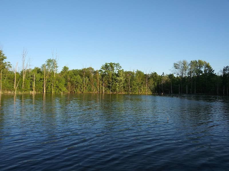 Rowden Park - Image 3