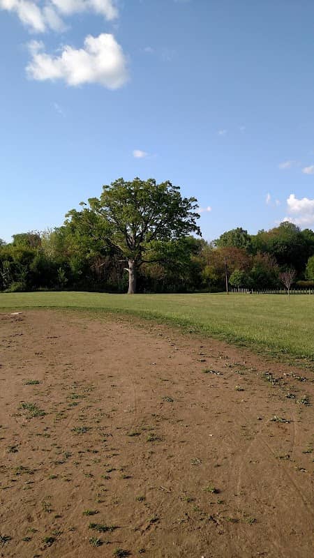 Mallonn Park - Image 2