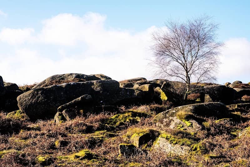 National Trust - Longshaw - Image 3