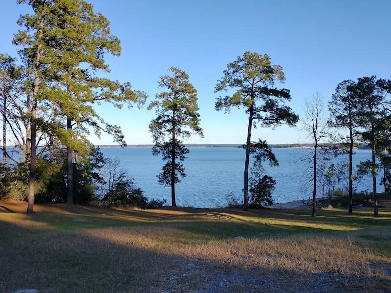 Ebenezer Park - Image 1
