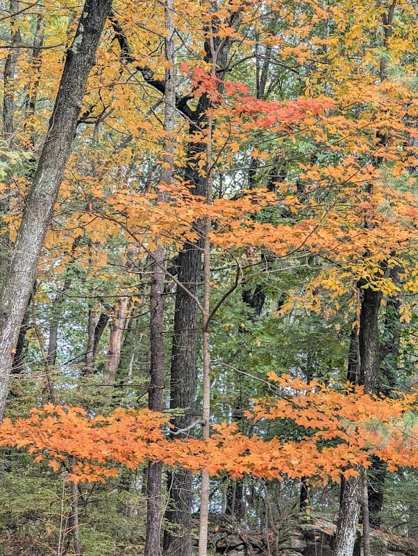 Nobscot Park - Image 3