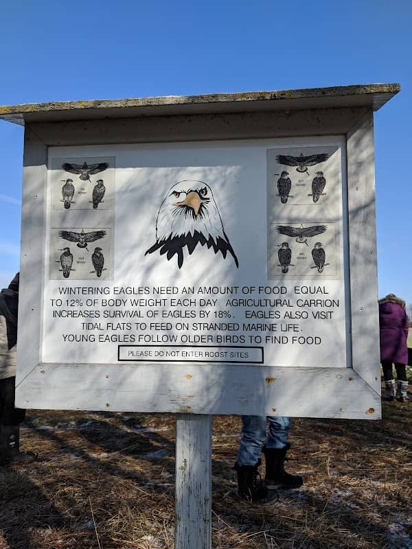 Sheffield Mills Eagle Watch -Eagle viewing site - Image 3