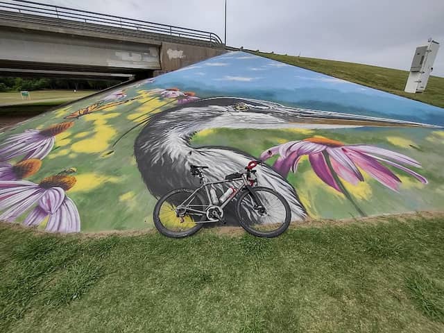 Bailey Lake Park - Image 2