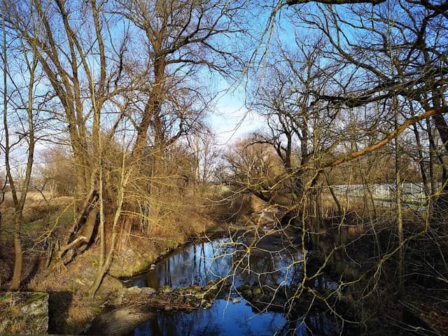Taubenhaus - Image 1