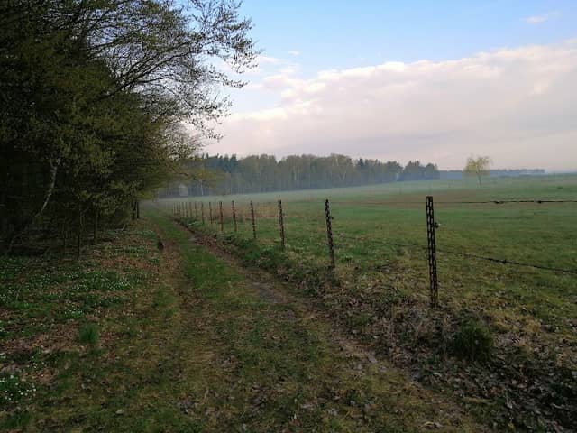 Wiata leśna - Image 2