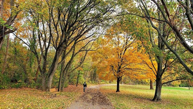 Sycamore Creek Park - Image 3