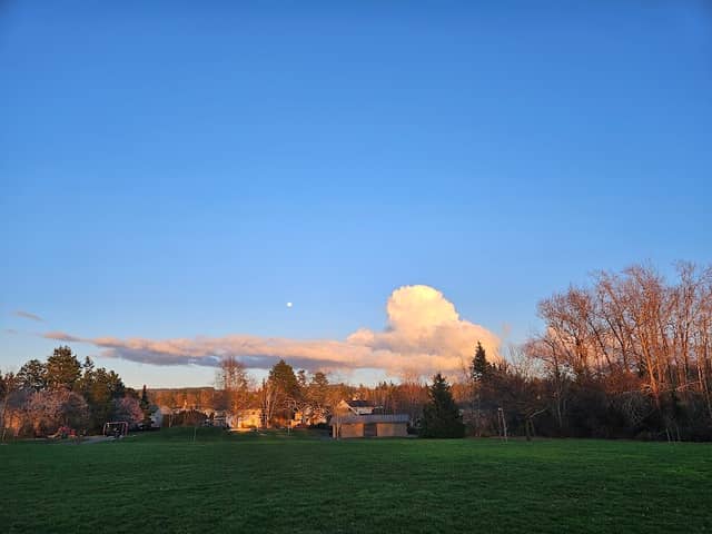 Roosevelt Park - Image 1